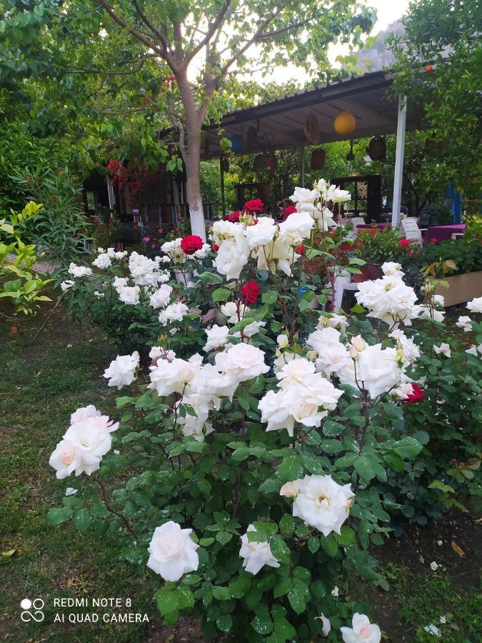 Sakli Bahce Pension Çıralı Buitenkant foto