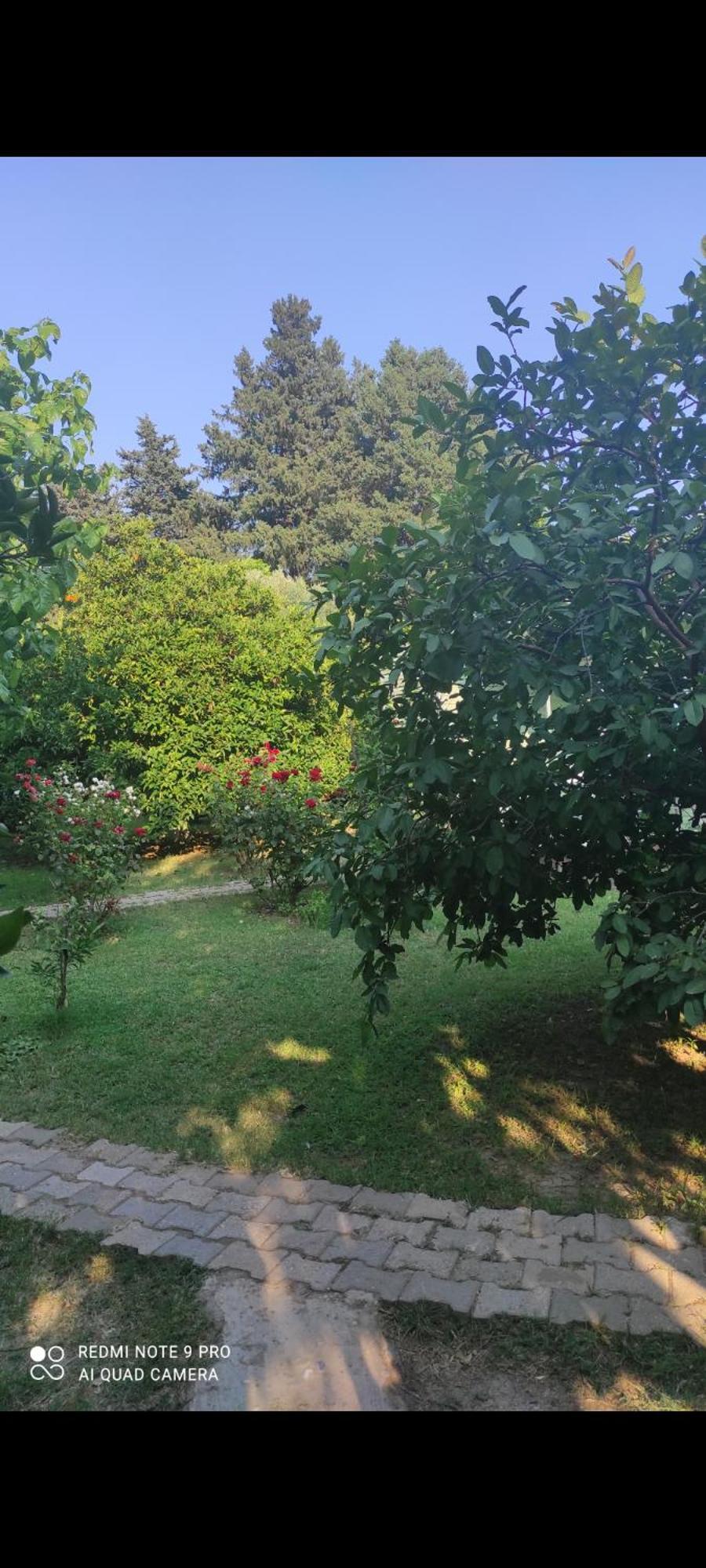 Sakli Bahce Pension Çıralı Buitenkant foto