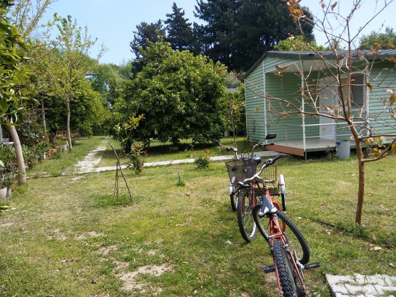 Sakli Bahce Pension Çıralı Buitenkant foto