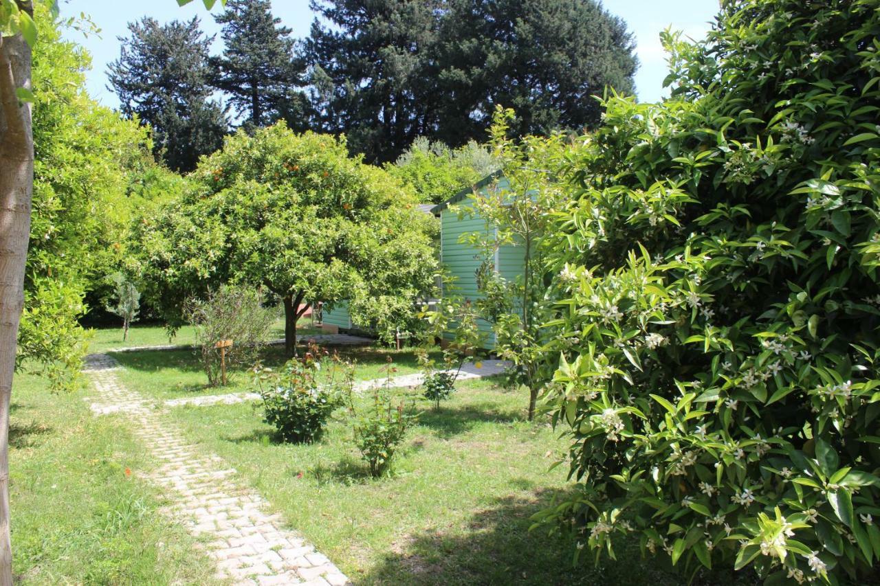 Sakli Bahce Pension Çıralı Buitenkant foto