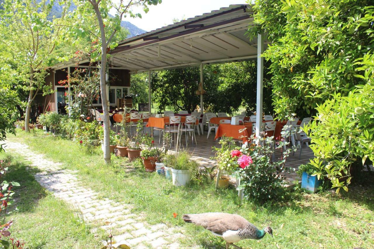 Sakli Bahce Pension Çıralı Buitenkant foto