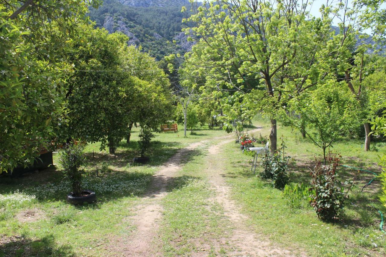 Sakli Bahce Pension Çıralı Buitenkant foto