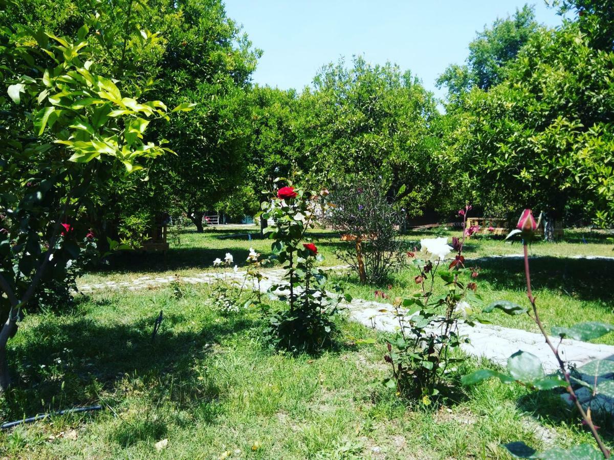 Sakli Bahce Pension Çıralı Buitenkant foto
