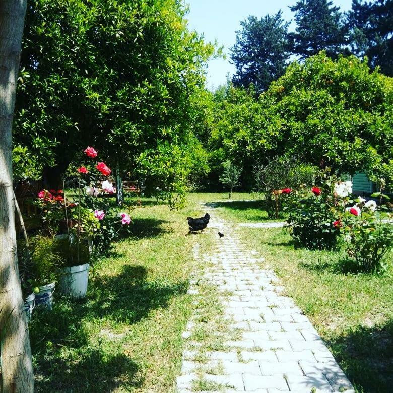 Sakli Bahce Pension Çıralı Buitenkant foto